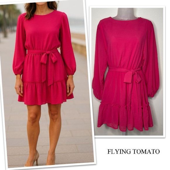 Flying Tomato Pink Long Sleeve Tiered Dress. Size Small - Picture 1 of 11